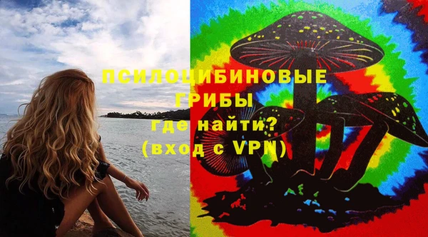 ПСИЛОЦИБИНОВЫЕ ГРИБЫ Кукмор