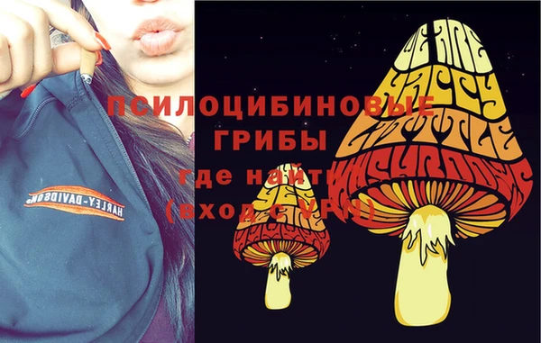ПСИЛОЦИБИНОВЫЕ ГРИБЫ Кукмор