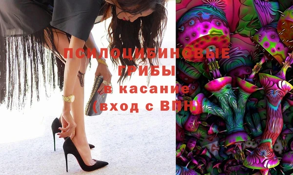 ПСИЛОЦИБИНОВЫЕ ГРИБЫ Кукмор