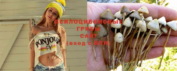 ПСИЛОЦИБИНОВЫЕ ГРИБЫ Кукмор