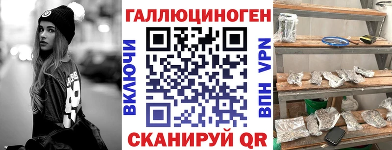 KRAKEN рабочий сайт  Магас  Псилоцибиновые грибы Psilocybine cubensis 